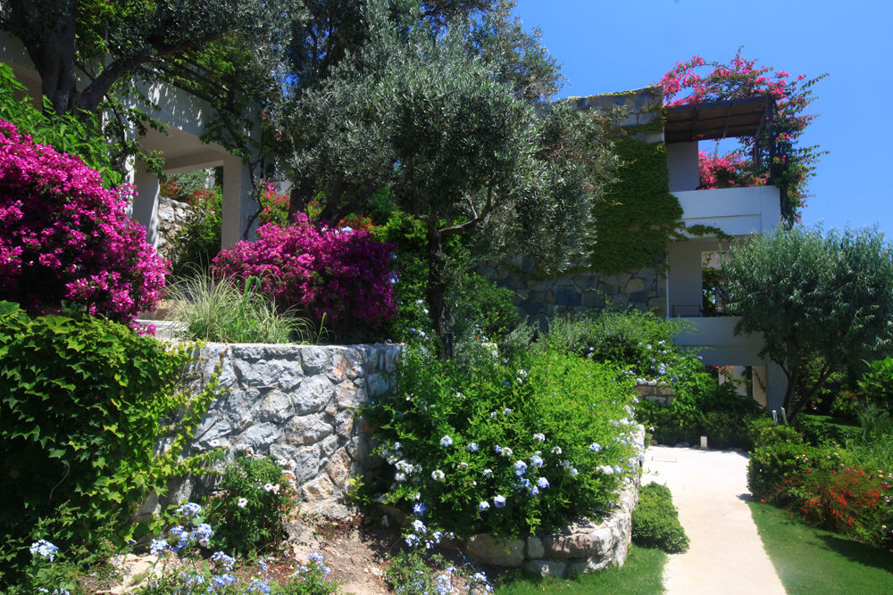 Macakizi Hotel Golturkbuku Εξωτερικό φωτογραφία