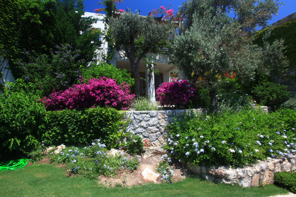 Macakizi Hotel Golturkbuku Εξωτερικό φωτογραφία