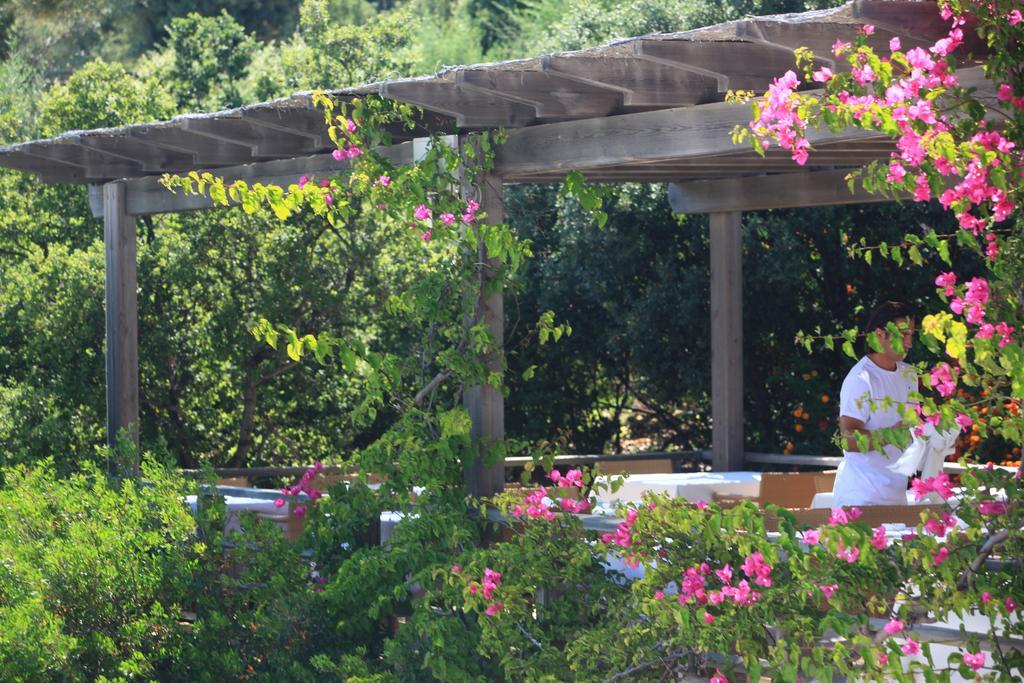 Macakizi Hotel Golturkbuku Εξωτερικό φωτογραφία